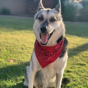 Meet your Posher, Tatum